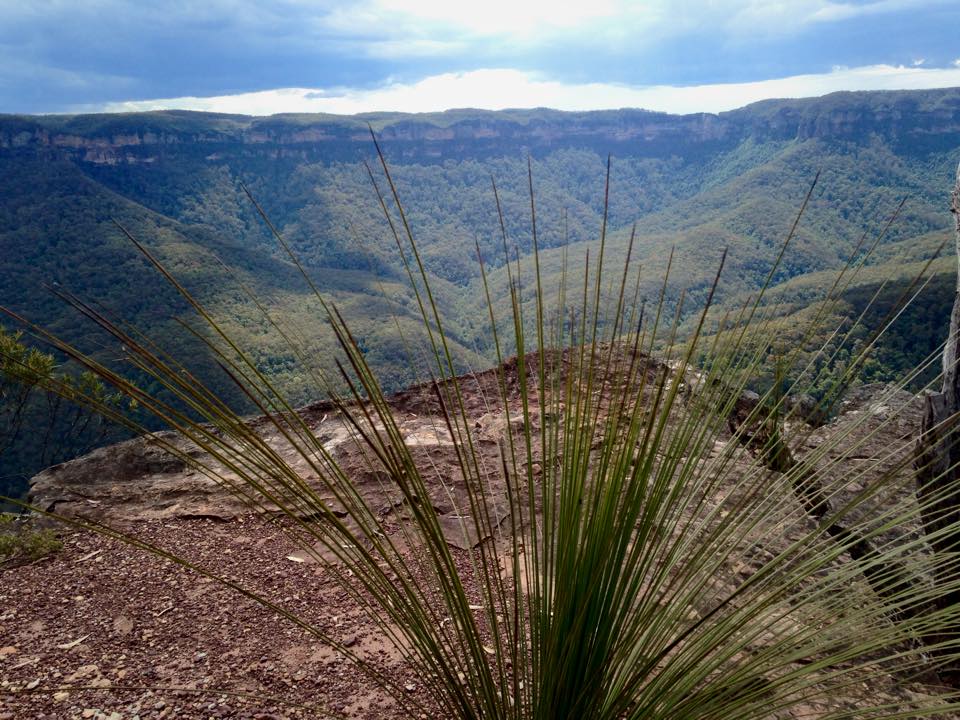 Views at the top Image