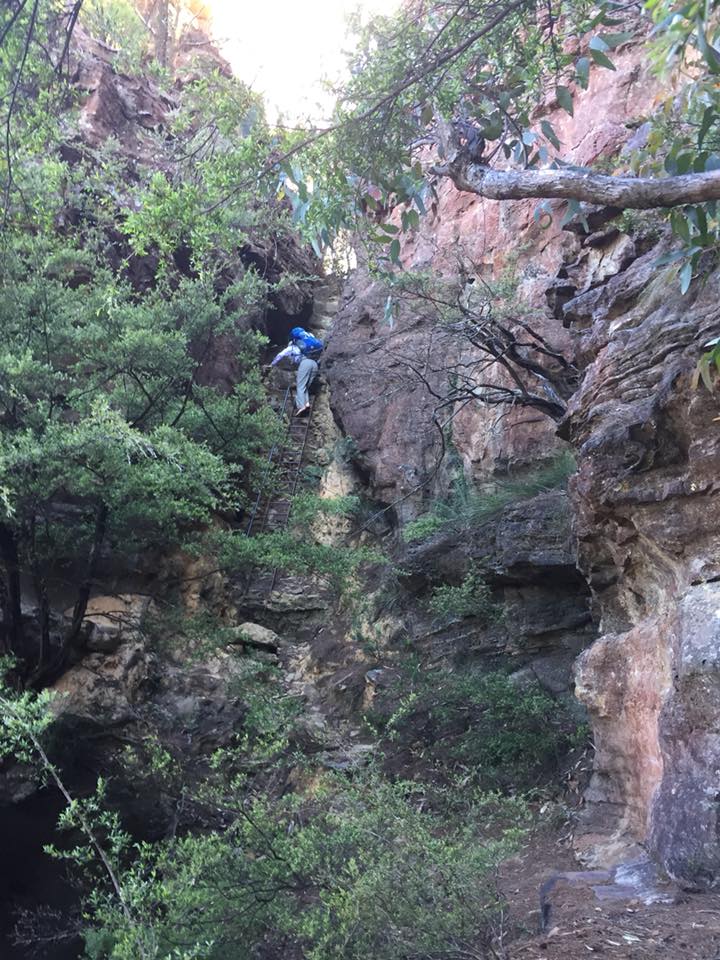 Climbing up the rocks Image